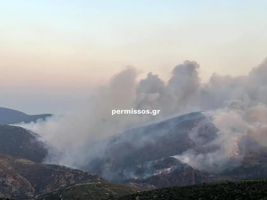 Φωτιά στη Βοιωτία: Νέο μήνυμα από το 112 - Έχουν εκκενωθεί τέσσερις οικισμοί