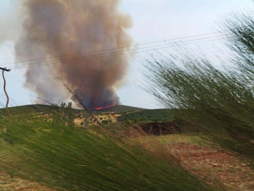 Φωτιά στη Χαλκιδική κοντά στον Πολύγυρο - Ενισχύθηκαν οι δυνάμεις - Βίντεο