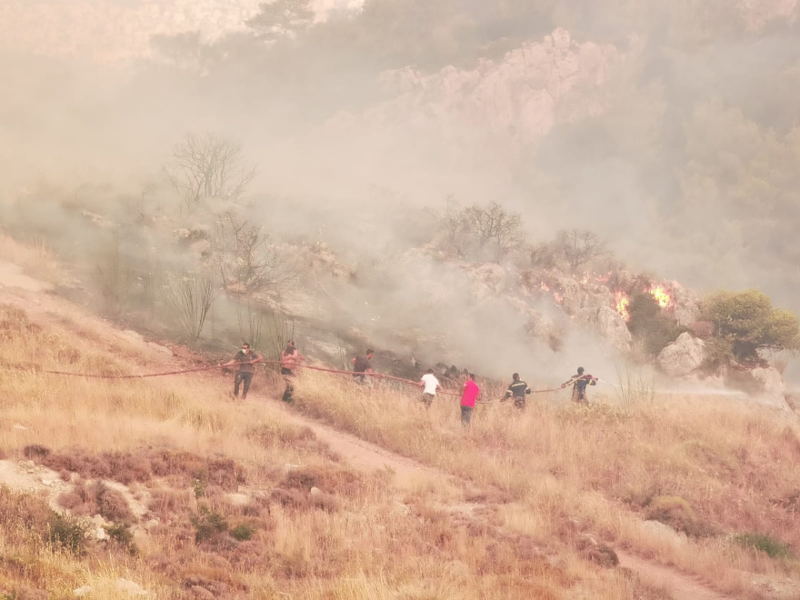 Φωτιά στη Φυλή: Μεγαλώνει το πύρινο μέτωπο - Νέο μήνυμα 112 για Άνω Λιόσια, Γεννηματά και Κανάλα