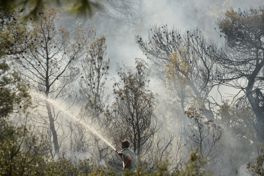 Φωτιά στη Φυλή: Μεγαλώνει το πύρινο μέτωπο - Νέο μήνυμα 112 για Άνω Λιόσια, Γεννηματά και Κανάλα
