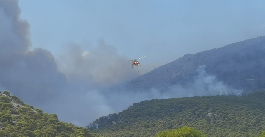 Φωτιά στην Πάρνηθα: Μάχη με τις φλόγες για να σωθεί ο Εθνικός Δρυμός