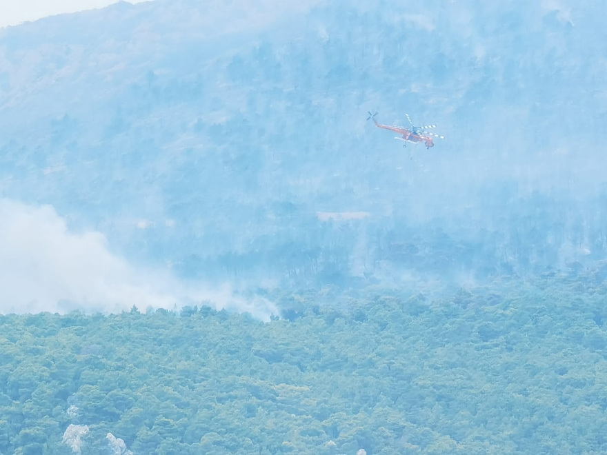 Φωτιά στην Πάρνηθα: Μάχη με τις φλόγες για να σωθεί ο Εθνικός Δρυμός