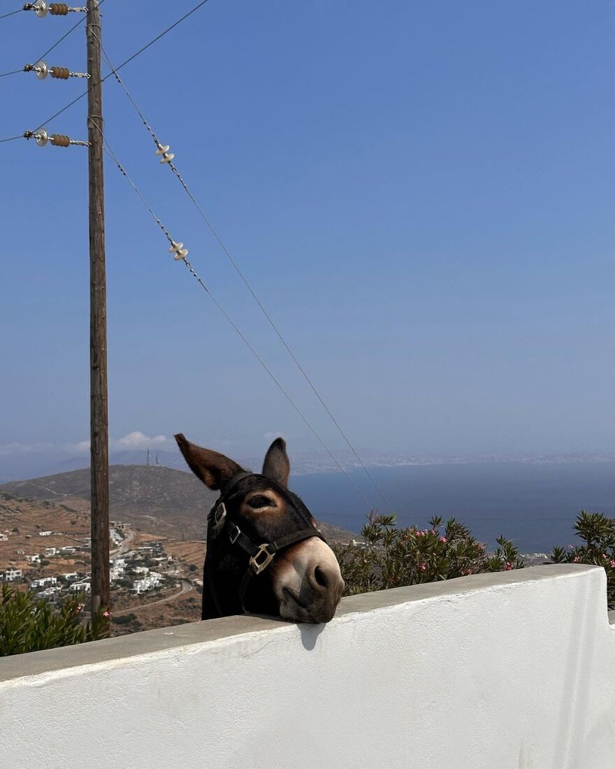 Κωστής Μαραβέγιας - Τόνια Σωτηροπούλου: Το φωτογραφικό άλμπουμ από τις διακοπές τους στην Τήνο