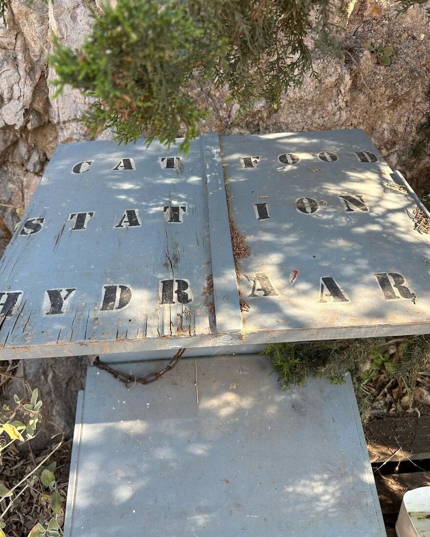 Μαρίζα Τομέι: Αναπολεί τις διακοπές της στην Ύδρα