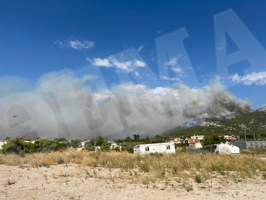 Φωτιά στην Πάρνηθα: Εκκενώνεται η Αμυγδαλέζα, περίπου 700 μετανάστες μεταφέρονται σε άλλες δομές - Δείτε φωτογραφίες