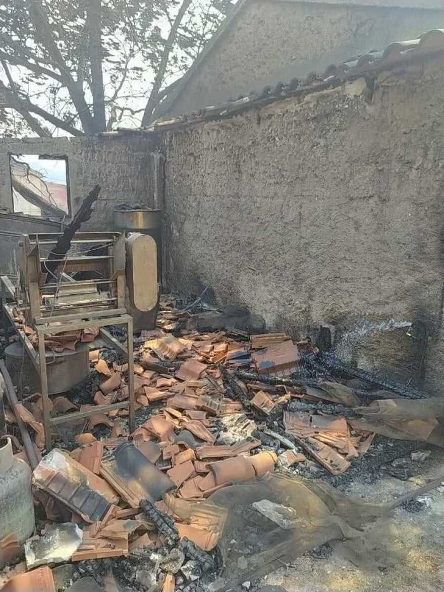 Φωτιά στον Έβρο: «Κοριτσάκια μου γλυκά» - Μελισσοκόμος αποχαιρετά με λυγμούς τις μέλισσες που κάηκαν