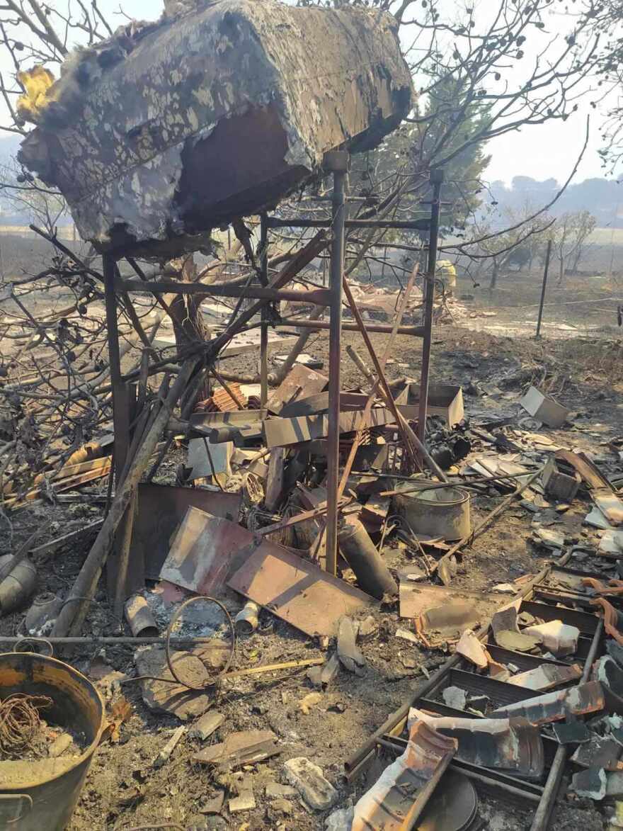 Φωτιά στον Έβρο: «Κοριτσάκια μου γλυκά» - Μελισσοκόμος αποχαιρετά με λυγμούς τις μέλισσες που κάηκαν