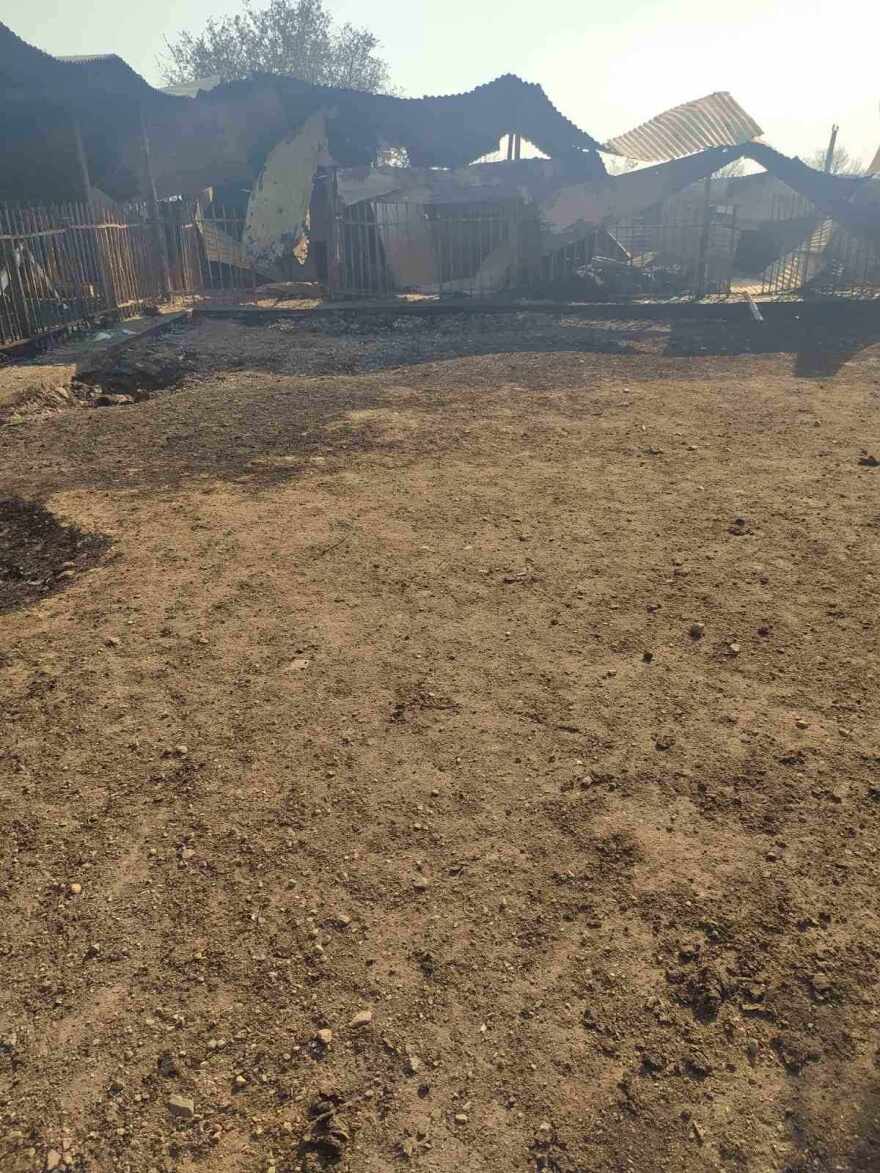 Φωτιά στον Έβρο: «Κοριτσάκια μου γλυκά» - Μελισσοκόμος αποχαιρετά με λυγμούς τις μέλισσες που κάηκαν