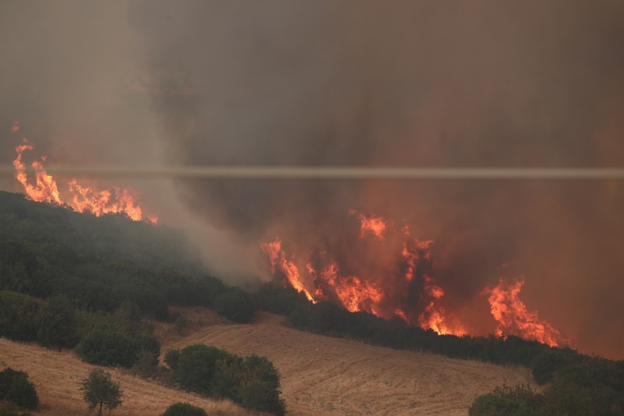 Φωτιές: Τρία τα ενεργά μέτωπα στον Έβρο - Εκκενώσεις οικισμών στη Ροδόπη