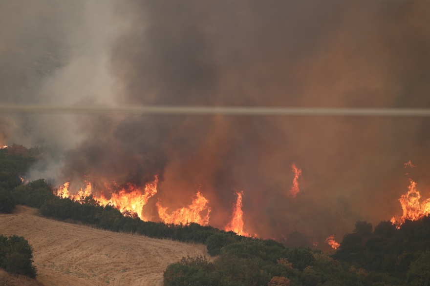 Φωτιές: Τρία τα ενεργά μέτωπα στον Έβρο - Εκκενώσεις οικισμών στη Ροδόπη