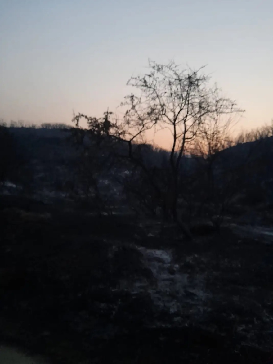 Φωτιά στην Αλεξανδρούπολη: Αποκαρδιωτικές οι πρώτες εικόνες από το δάσος της Κίρκης