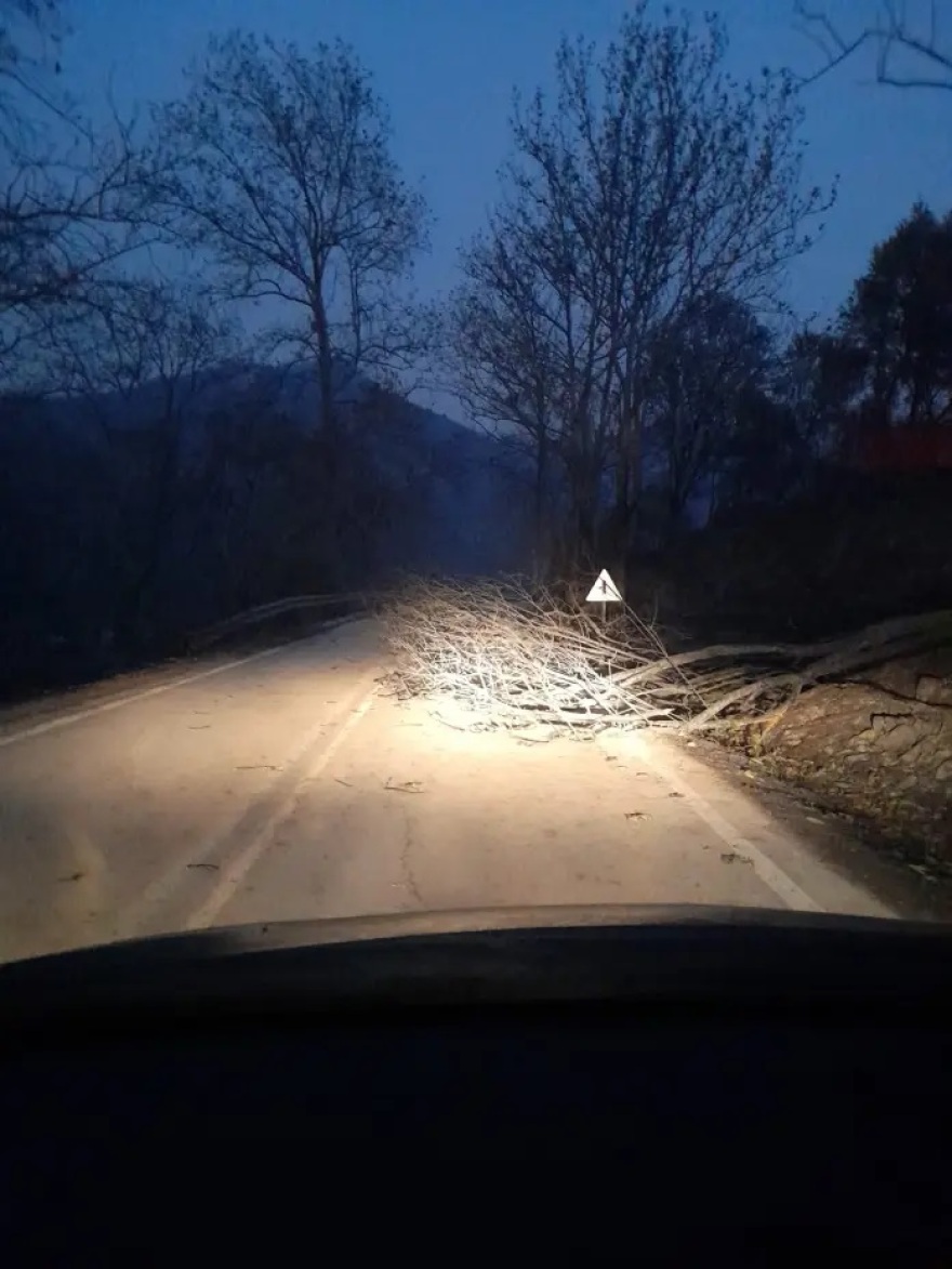 Φωτιά στην Αλεξανδρούπολη: Αποκαρδιωτικές οι πρώτες εικόνες από το δάσος της Κίρκης