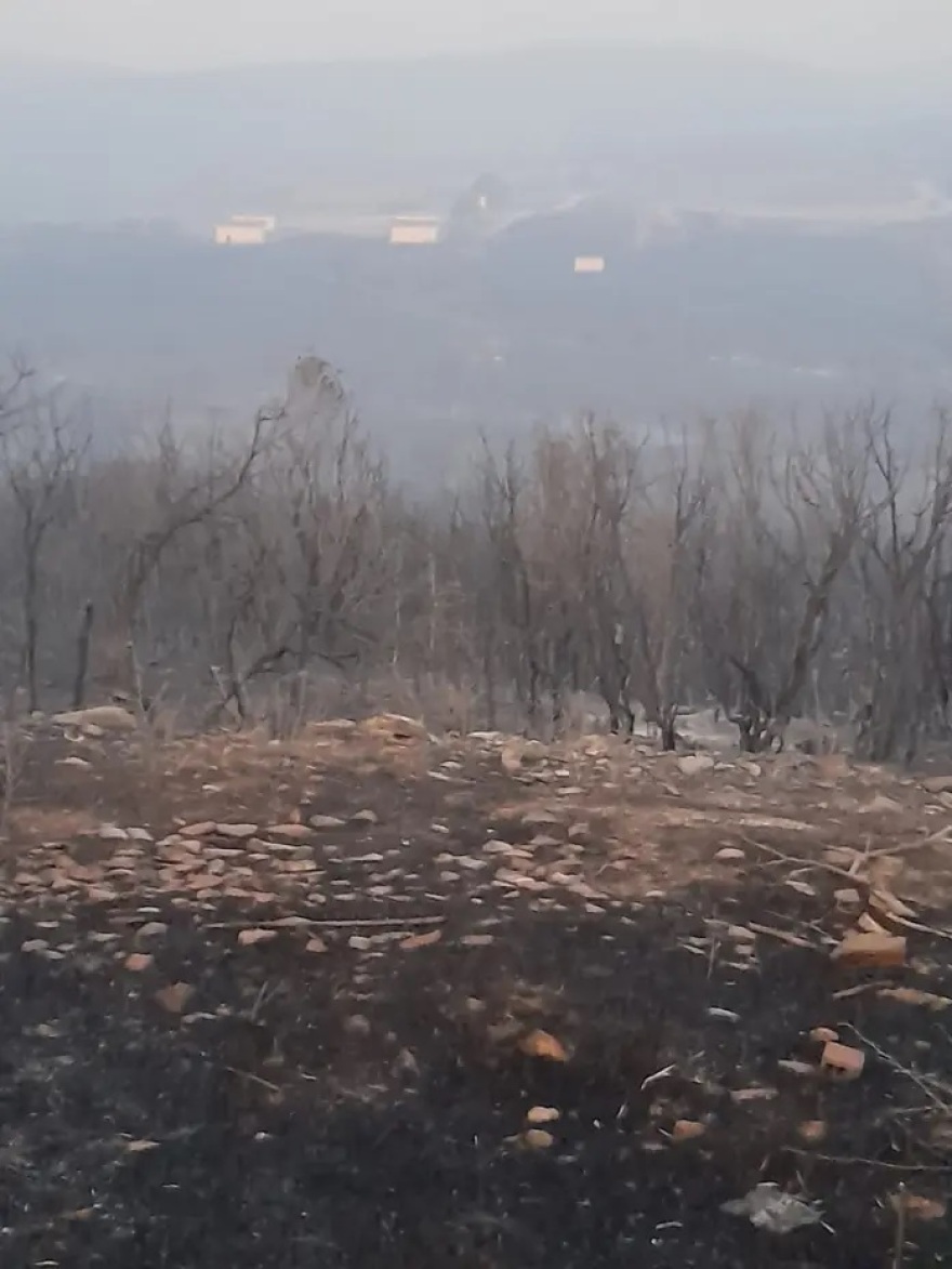 Φωτιά στην Αλεξανδρούπολη: Αποκαρδιωτικές οι πρώτες εικόνες από το δάσος της Κίρκης