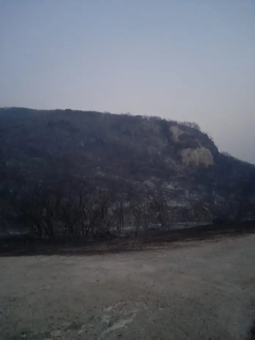 Φωτιά στην Αλεξανδρούπολη: Αποκαρδιωτικές οι πρώτες εικόνες από το δάσος της Κίρκης