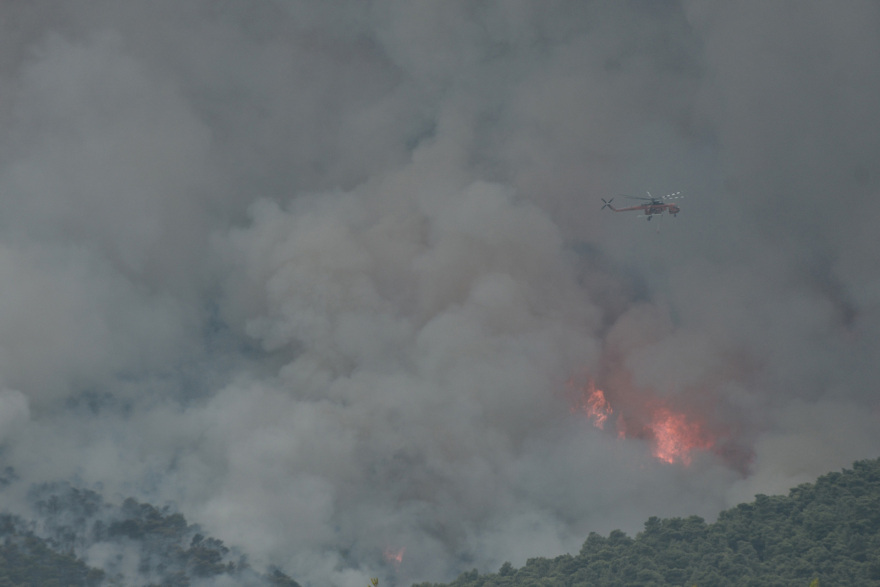 Φωτιά στην Πάρνηθα: Μάχη με τις φλόγες για να σωθεί ο Εθνικός Δρυμός