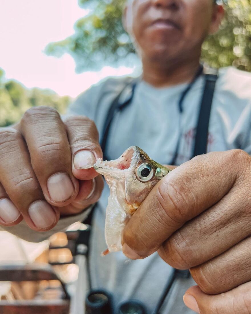 Ευγενία Σαμαρά: Ψάρεψε πιράνχας στον Αμαζόνιο