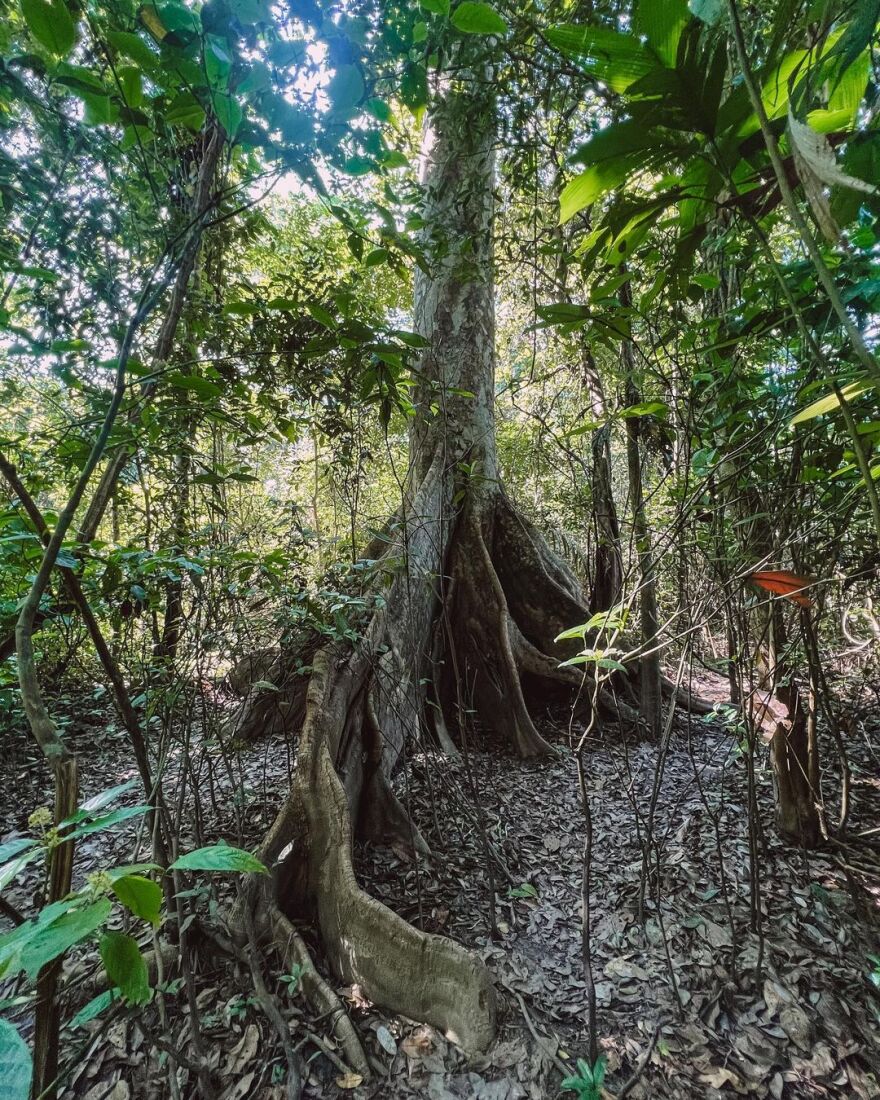 Ευγενία Σαμαρά: Ψάρεψε πιράνχας στον Αμαζόνιο