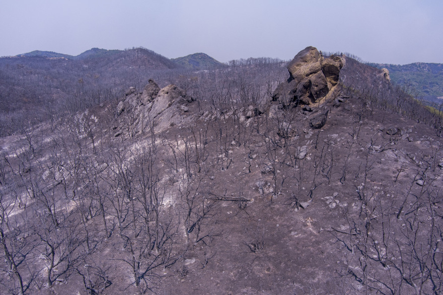 Φωτιά στον Έβρο: Ολονύχτια μάχη με τις αναζωπυρώσεις - Μάχη για να σβήσει η φωτιά στο δάσος της Δαδιάς