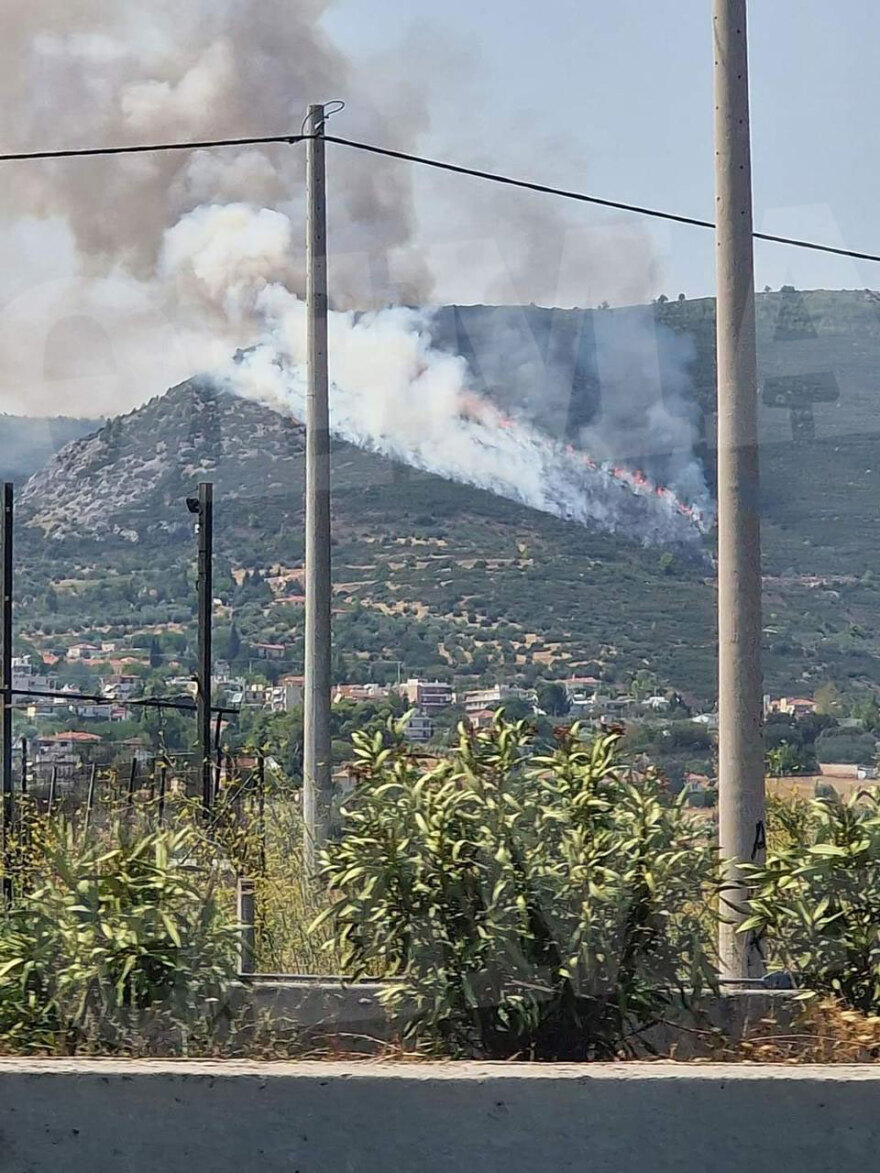 Αποκαλυπτικές φωτογραφίες από τη φωτιά στον Αυλώνα - Έγιναν 9 απόπειρες εμπρησμού, τέσσερις προσαγωγές