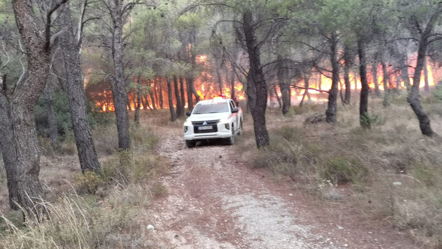 Φωτιά στην Πάρνηθα: Αναζωπυρώσεις σε διάσπαρτες εστίες - Δείτε βίντεο και φωτογραφίες