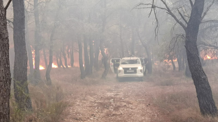 Φωτιά στην Πάρνηθα: Αναζωπυρώσεις σε διάσπαρτες εστίες - Δείτε βίντεο και φωτογραφίες