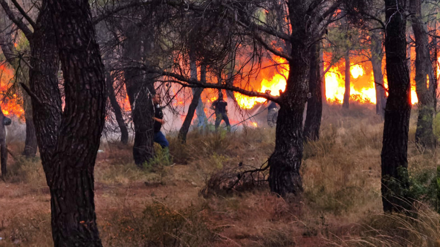 Φωτιά στην Πάρνηθα: Αναζωπυρώσεις σε διάσπαρτες εστίες - Δείτε βίντεο και φωτογραφίες