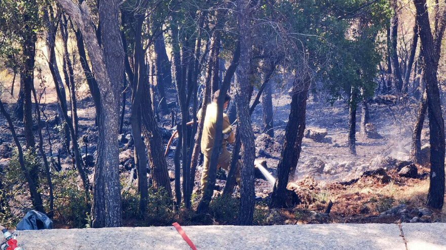 Φωτιά στην Πάρνηθα: Αναζωπυρώσεις σε διάσπαρτες εστίες - Δείτε βίντεο και φωτογραφίες