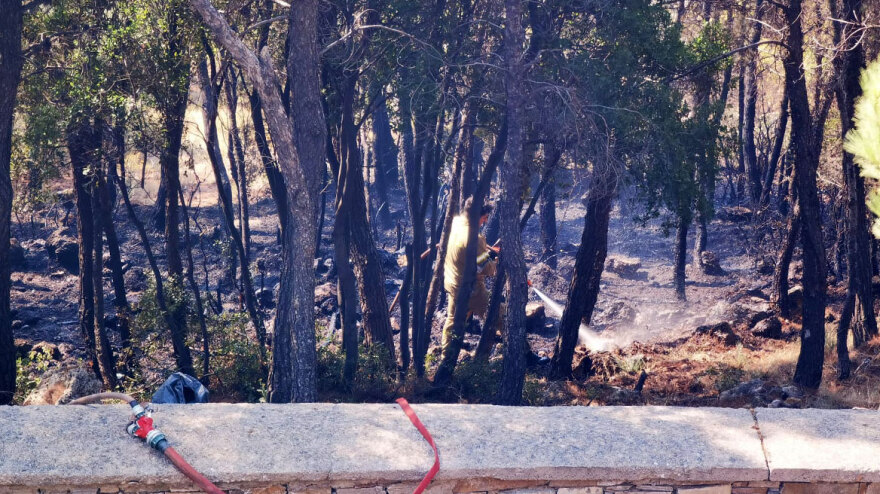 Φωτιά στην Πάρνηθα: Αναζωπυρώσεις σε διάσπαρτες εστίες - Δείτε βίντεο και φωτογραφίες