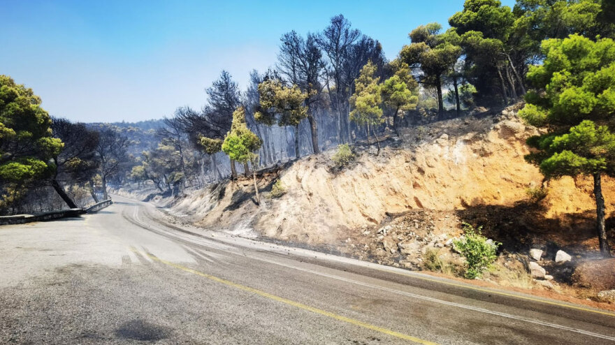 Φωτιά στην Πάρνηθα: Αναζωπυρώσεις σε διάσπαρτες εστίες - Δείτε βίντεο και φωτογραφίες