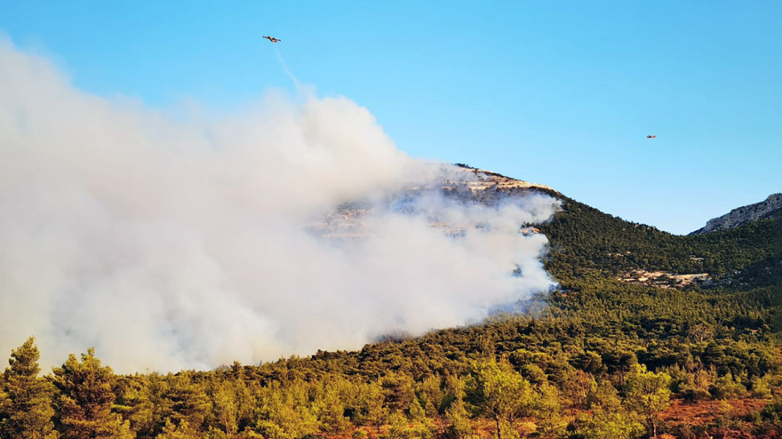 Φωτιά στην Πάρνηθα: Αναζωπυρώσεις σε διάσπαρτες εστίες - Δείτε βίντεο και φωτογραφίες
