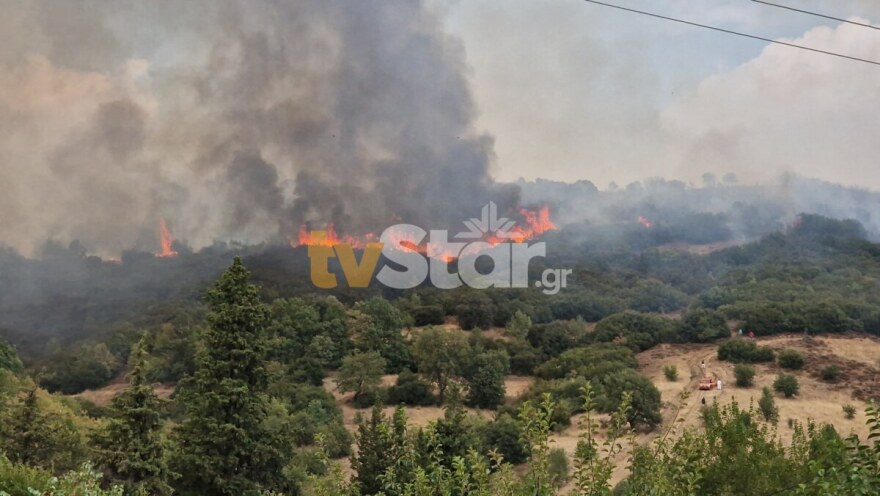 Αναζωπυρώθηκε η φωτιά στη Βίτωλη Φθιώτιδας, πάνω από τα σπίτια του χωριού - Ρίψεις νερού από PZL και Canadair