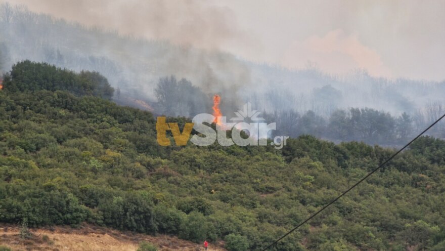 Αναζωπυρώθηκε η φωτιά στη Βίτωλη Φθιώτιδας, πάνω από τα σπίτια του χωριού - Ρίψεις νερού από PZL και Canadair