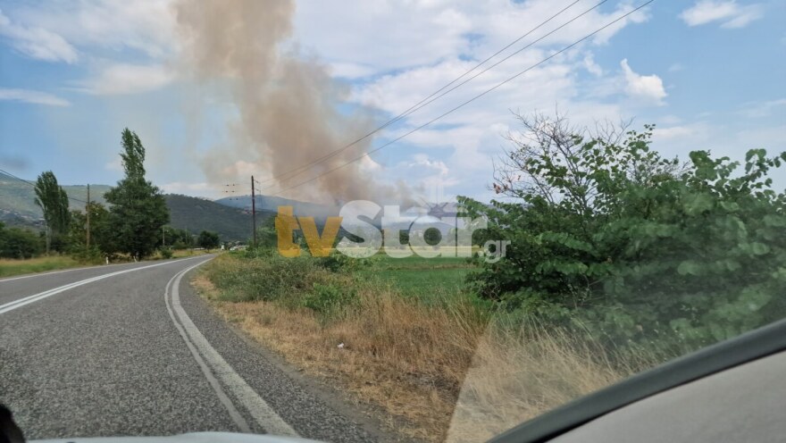 Αναζωπυρώθηκε η φωτιά στη Βίτωλη Φθιώτιδας, πάνω από τα σπίτια του χωριού - Ρίψεις νερού από PZL και Canadair