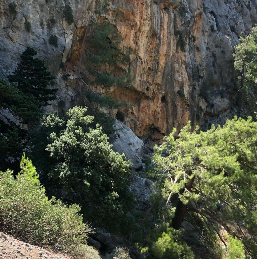 Ζέτα Δούκα: Αγκαλιάζει ένα δέντρο και στέλνει το μήνυμα της για τις πυρκαγιές