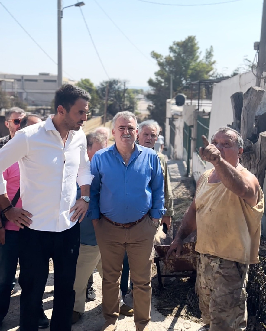 Χριστοδουλάκης: Να στηριχτούν με τρόπο άμεσο και επαρκή όσοι έχασαν τις περιουσίες τους