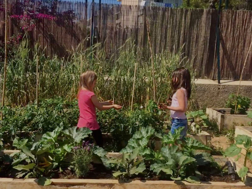 Τριανέμι: Ενα σχολείο που έφτιαξαν γονείς και δάσκαλοι