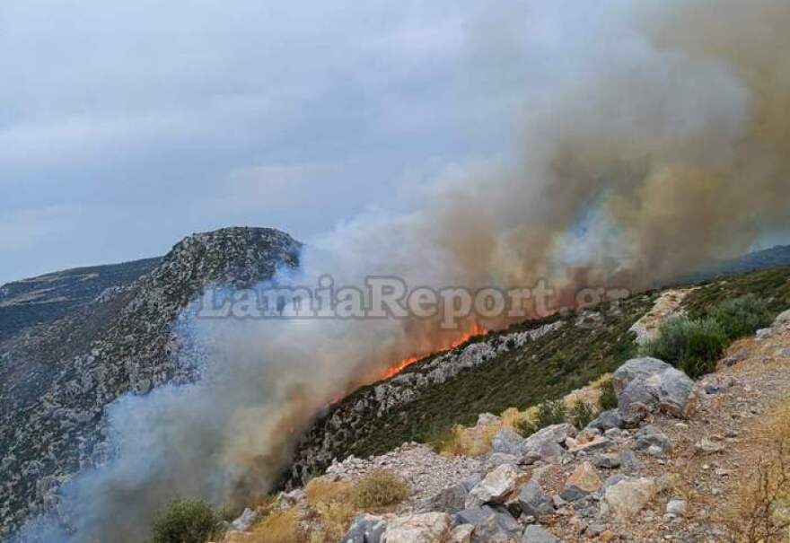 Φωτιά σε δύσβατη περιοχή στη Γκάτζα του δήμου Λοκρών - Επιχειρούν και εναέρια μέσα