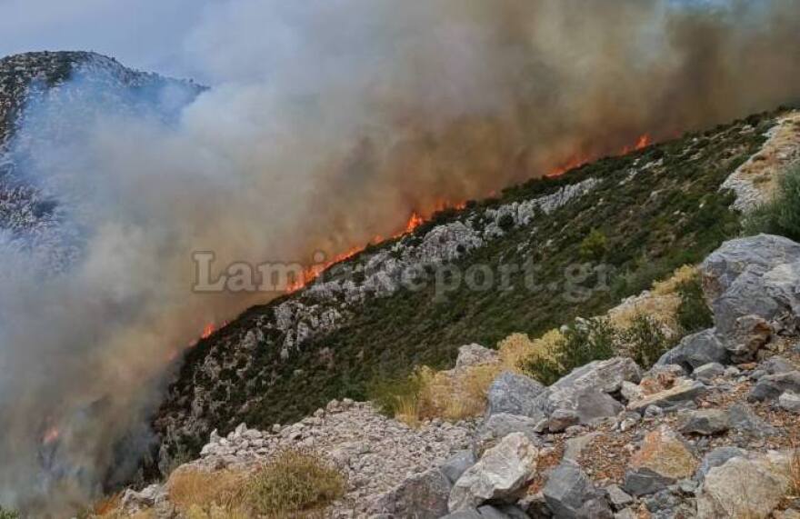 Φωτιά σε δύσβατη περιοχή στη Γκάτζα του δήμου Λοκρών - Επιχειρούν και εναέρια μέσα