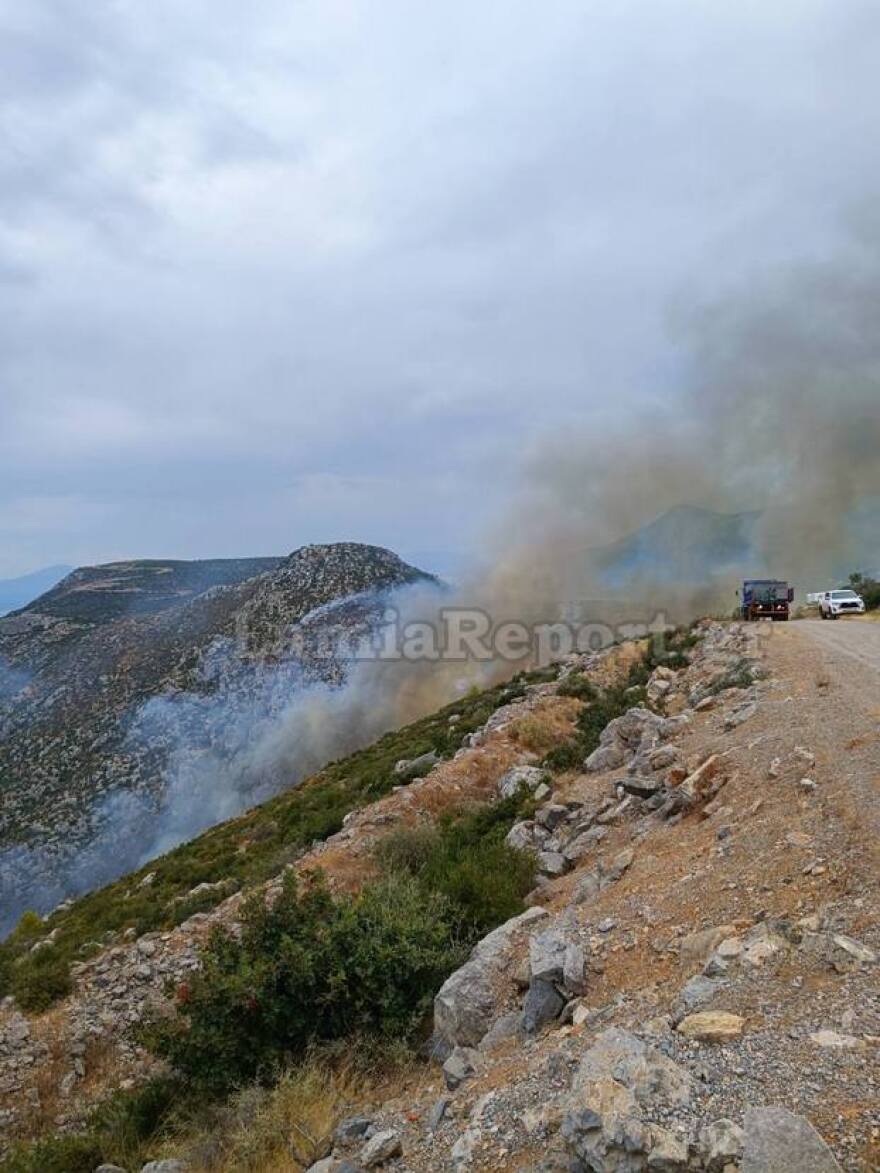 Φωτιά σε δύσβατη περιοχή στη Γκάτζα του δήμου Λοκρών - Επιχειρούν και εναέρια μέσα