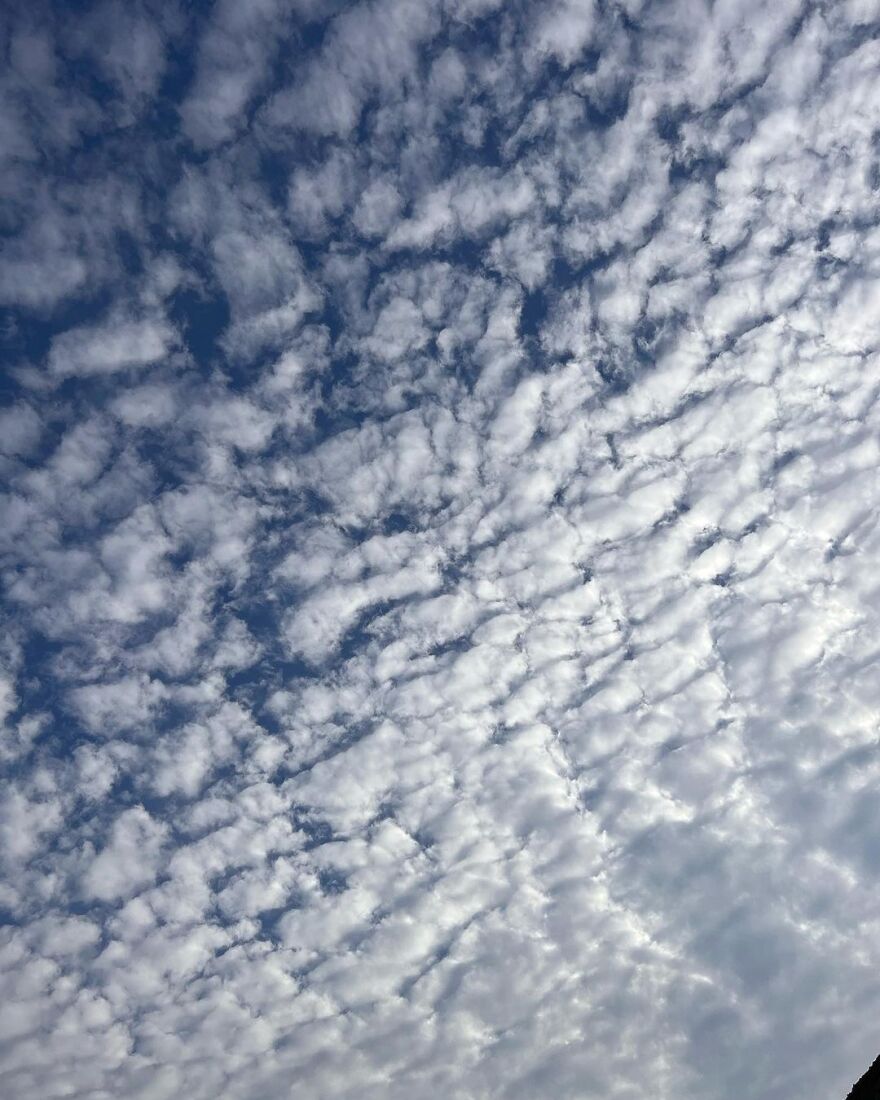 Πάνος Βλάχος: Δείχνει στο κοινό του τα... οφέλη της κρυοθεραπείας