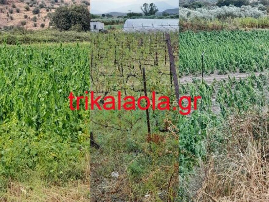 Τρίκαλα: Ισχυρό μπουρίνι μετέτρεψε τους δρόμους σε ποτάμια, χωρίς ρεύμα οικισμοί (βίντεο και φωτογραφίες)