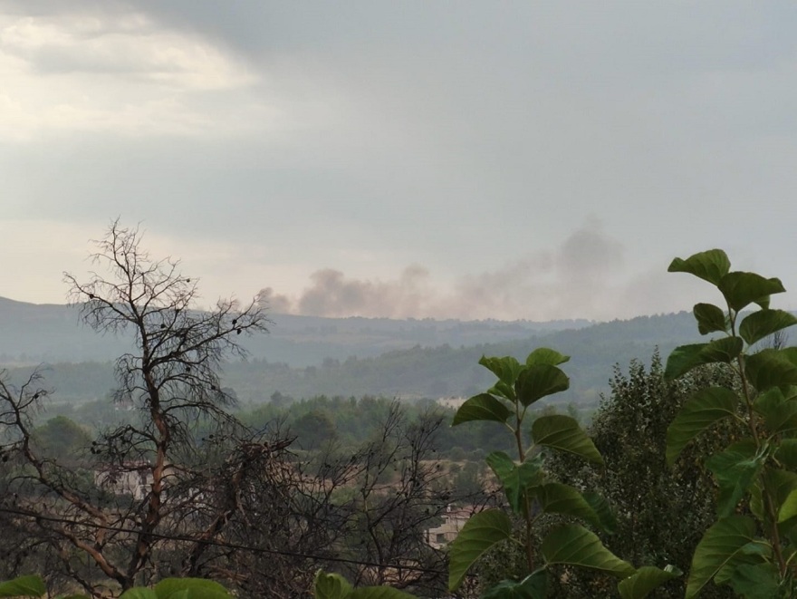 Οριοθετήθηκαν τα μέτωπα σε Γραμματικό, Βαρνάβα και Μαραθώνα - Ξεκίνησαν από κεραυνό