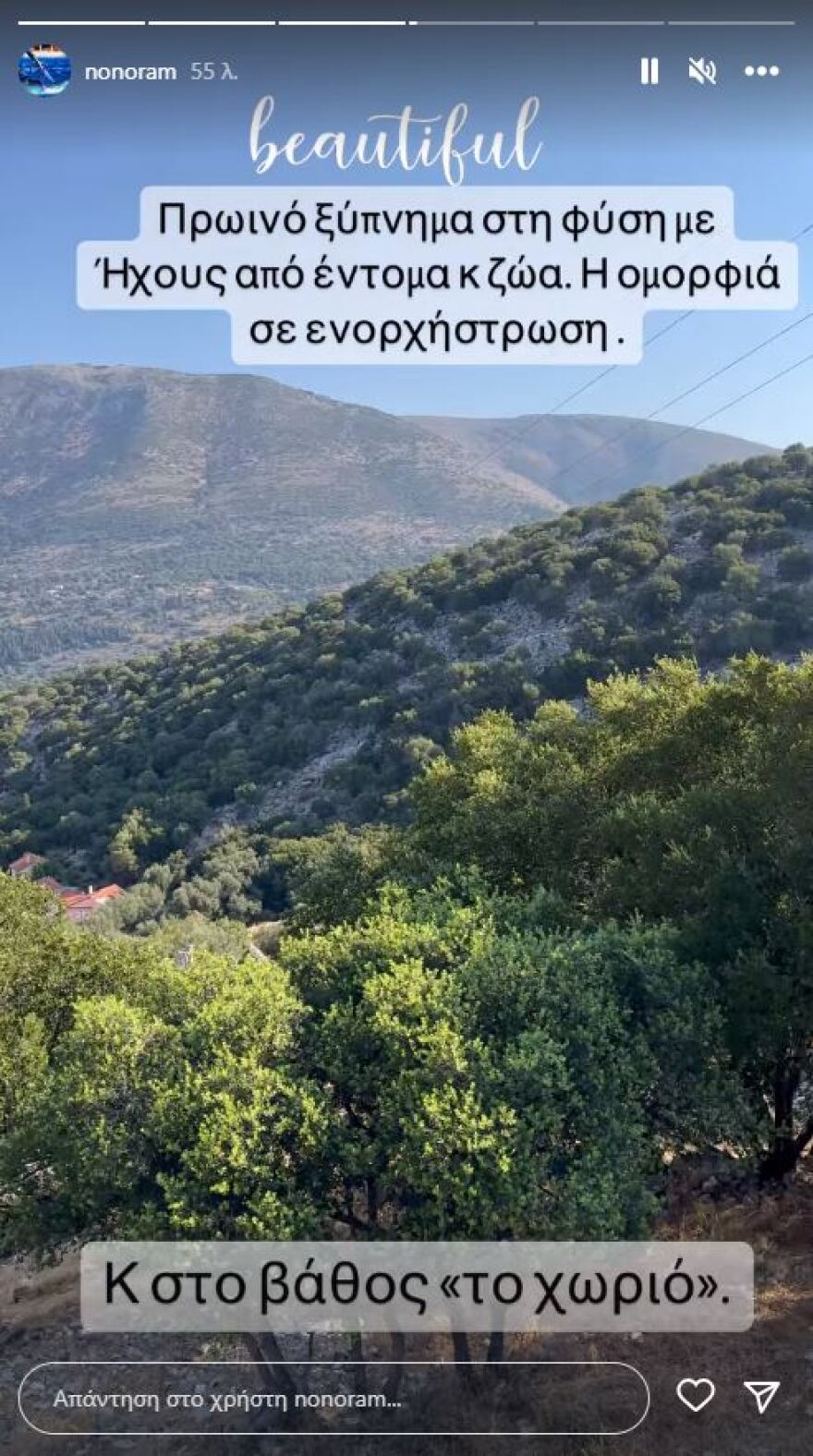 Ελεονώρα Μελέτη για τους εμπρηστές: «Δεν δικαιούνται να ζουν ανάμεσά μας»
