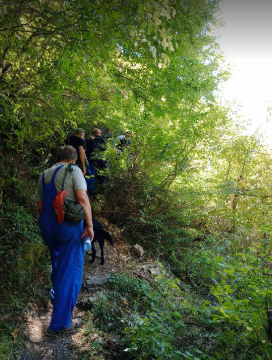 Άρτα: Αρκούδα επιτέθηκε σε 67χρονο – Δείτε φωτογραφίες