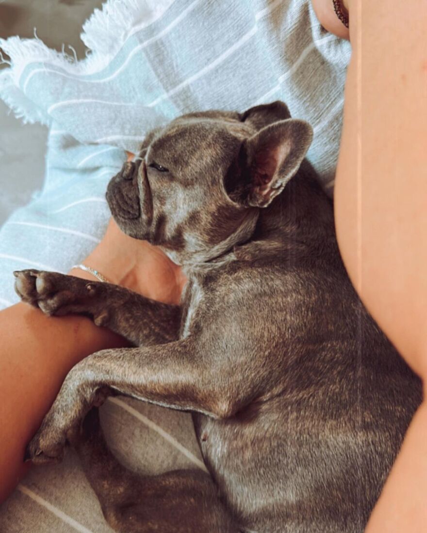 Δανάη Μπάρκα: Οι φωτογραφίες από την Σέριφο και το μήνυμά της για τη νέα σεζόν - «Ξεκινάω με πολλή χαρά την επιστροφή»