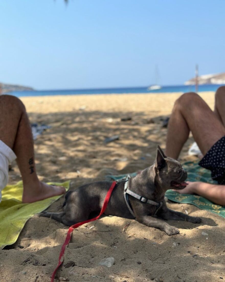 Δανάη Μπάρκα: Οι φωτογραφίες από την Σέριφο και το μήνυμά της για τη νέα σεζόν - «Ξεκινάω με πολλή χαρά την επιστροφή»