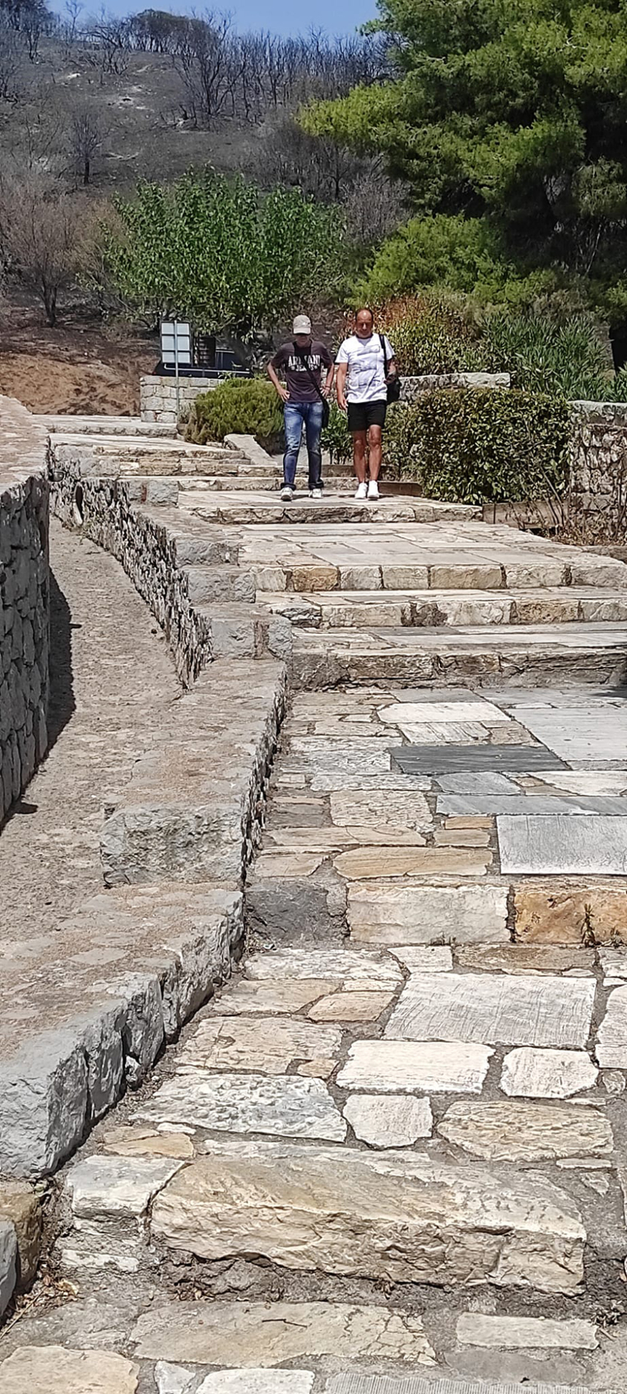 Φωτιά στη Βοιωτία - Μονή Οσίου Λουκά: Ανοικτός για τους επισκέπτες ο χώρος 