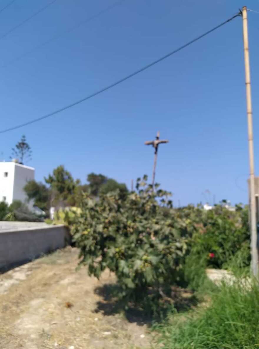 Πάρος: Σταύρωσαν κοράκι και το κρέμασαν σε κοινή θέα - Συνελήφθη ο δράστης