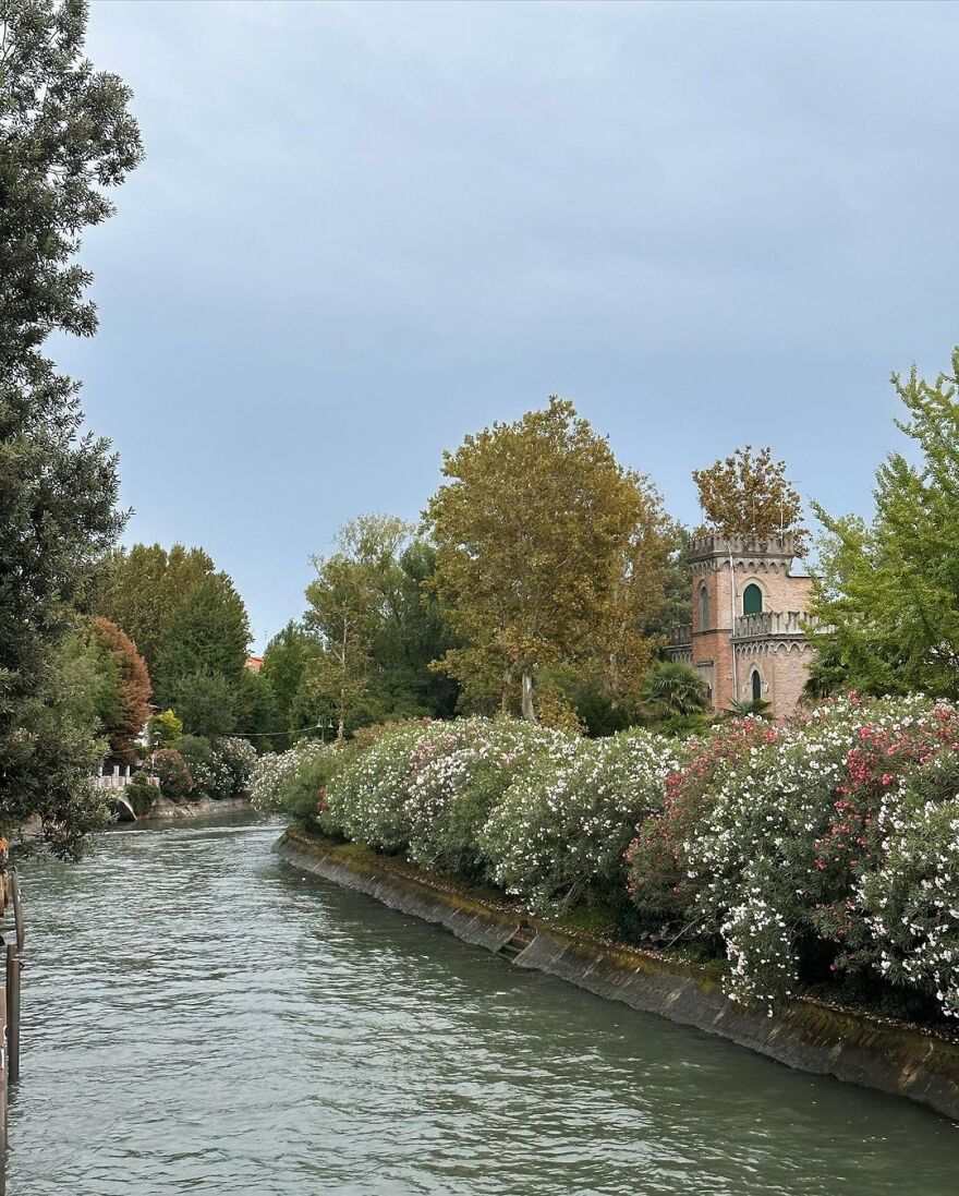 Τόνια Σωτηροπούλου – Κωστής Μαραβέγιας: Ταξίδι στη Βενετία για το ζευγάρι