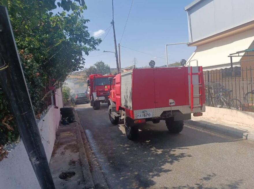 Φωτιά στη Μαγνησία: Μήνυμα από το 112 στην περιοχή Άσπρες Πεταλούδες - Δείτε φωτογραφίες